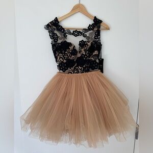 Elegant Black and Tan Lace Dress